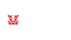 Red Tiger — logo dostawcy gier
